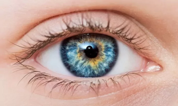 eyelee - Image 3